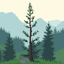 Slender Mountain Pine, from The Emerald Frontier